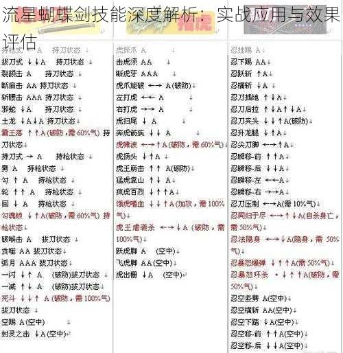 流星蝴蝶剑技能深度解析：实战应用与效果评估