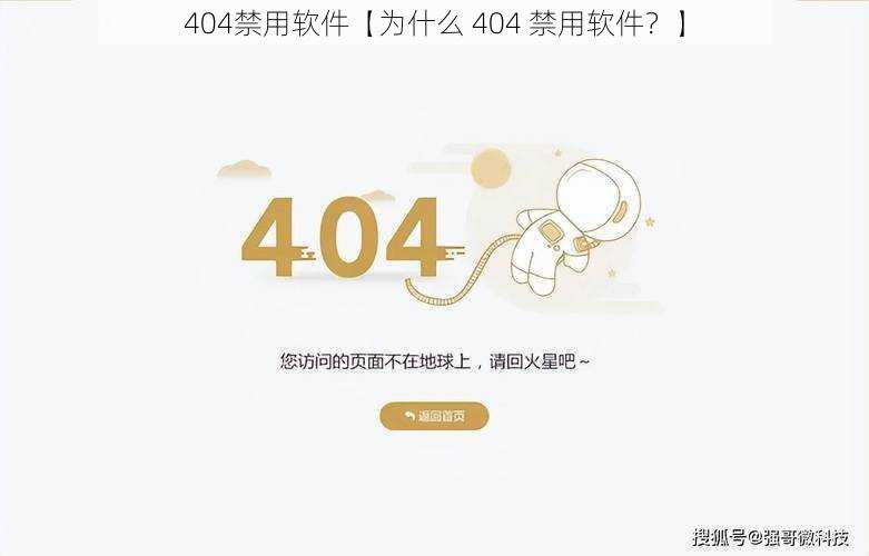 404禁用软件【为什么 404 禁用软件？】