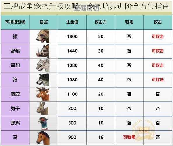 王牌战争宠物升级攻略：宠物培养进阶全方位指南