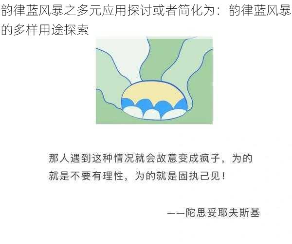 韵律蓝风暴之多元应用探讨或者简化为：韵律蓝风暴的多样用途探索