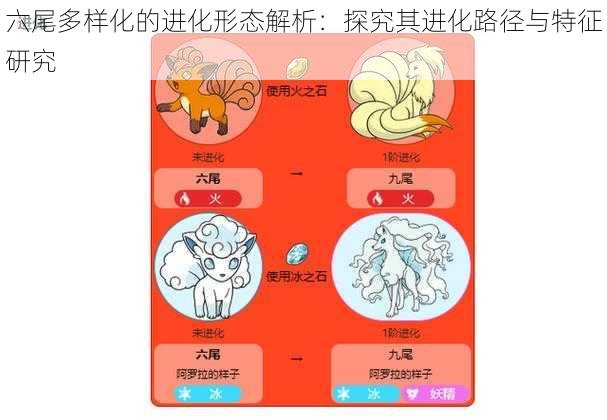 六尾多样化的进化形态解析：探究其进化路径与特征研究