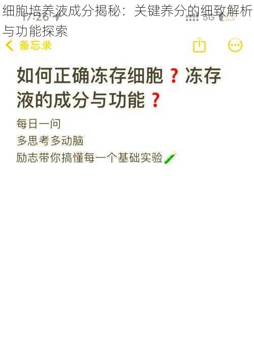 细胞培养液成分揭秘：关键养分的细致解析与功能探索