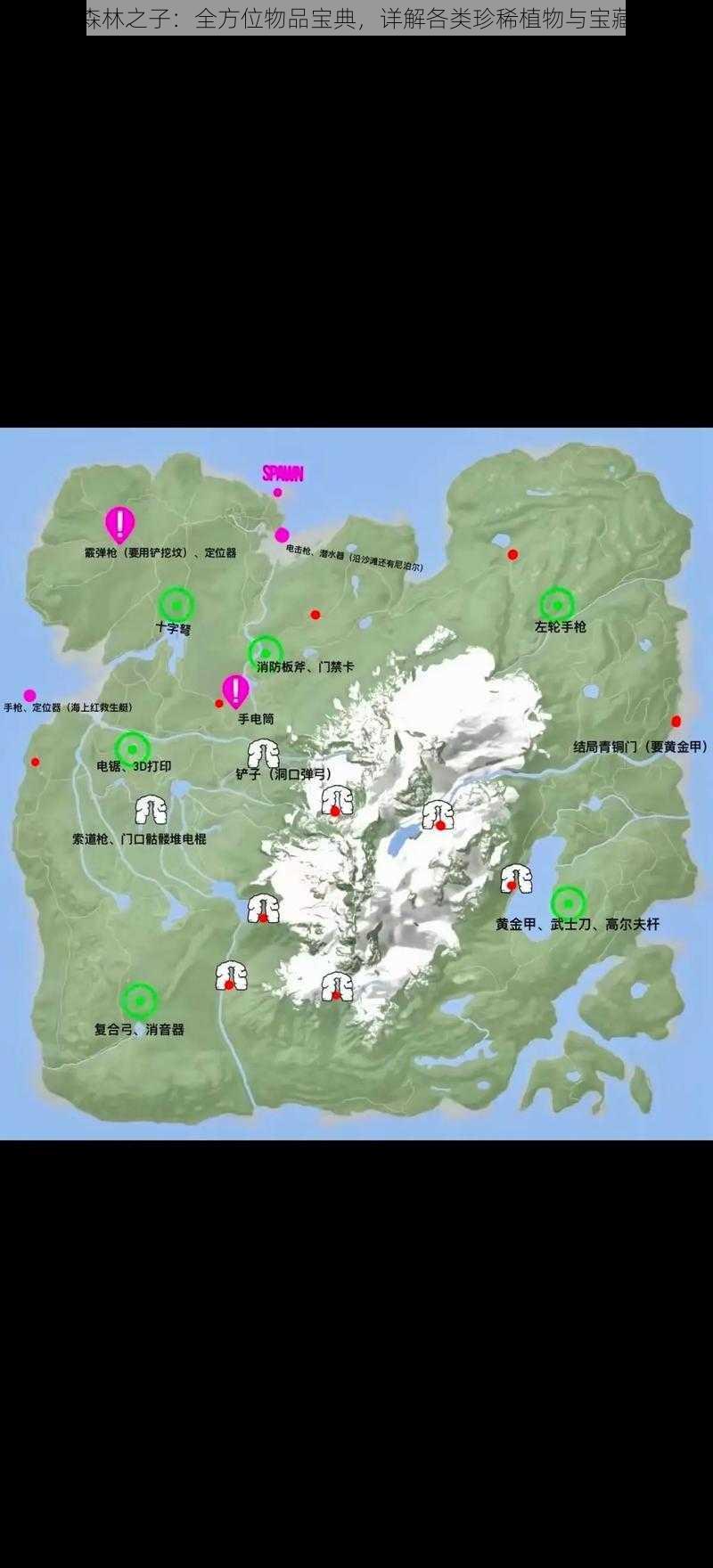 森林之子：全方位物品宝典，详解各类珍稀植物与宝藏