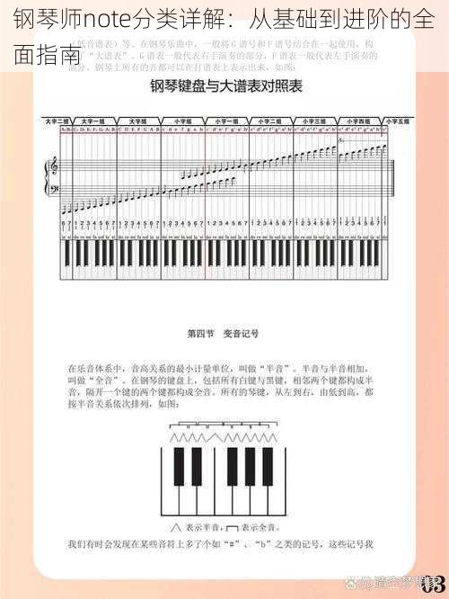 钢琴师note分类详解：从基础到进阶的全面指南