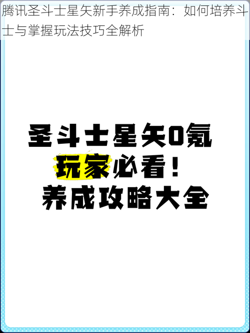 腾讯圣斗士星矢新手养成指南：如何培养斗士与掌握玩法技巧全解析