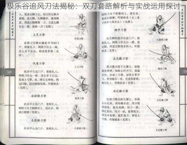 极乐谷追风刀法揭秘：双刀套路解析与实战运用探讨