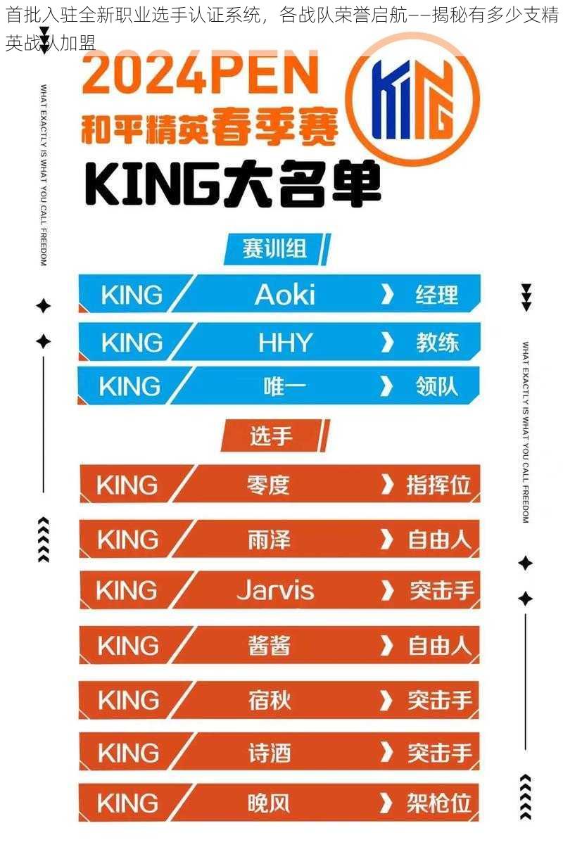 首批入驻全新职业选手认证系统，各战队荣誉启航——揭秘有多少支精英战队加盟